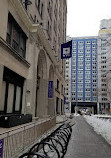 New York University