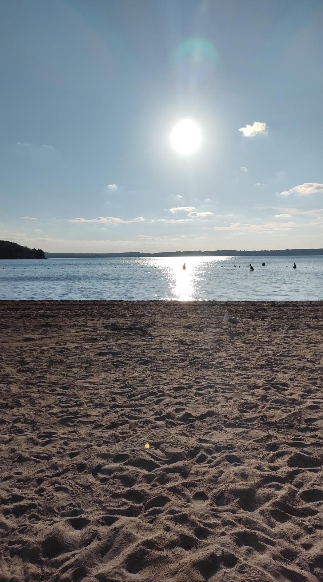 Plage du parc provincial Bass Lake