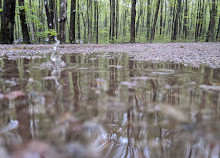 Deer Campground