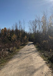 Georgian Trail Collingwood