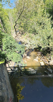 Little Beaver River en el Georgian Trail