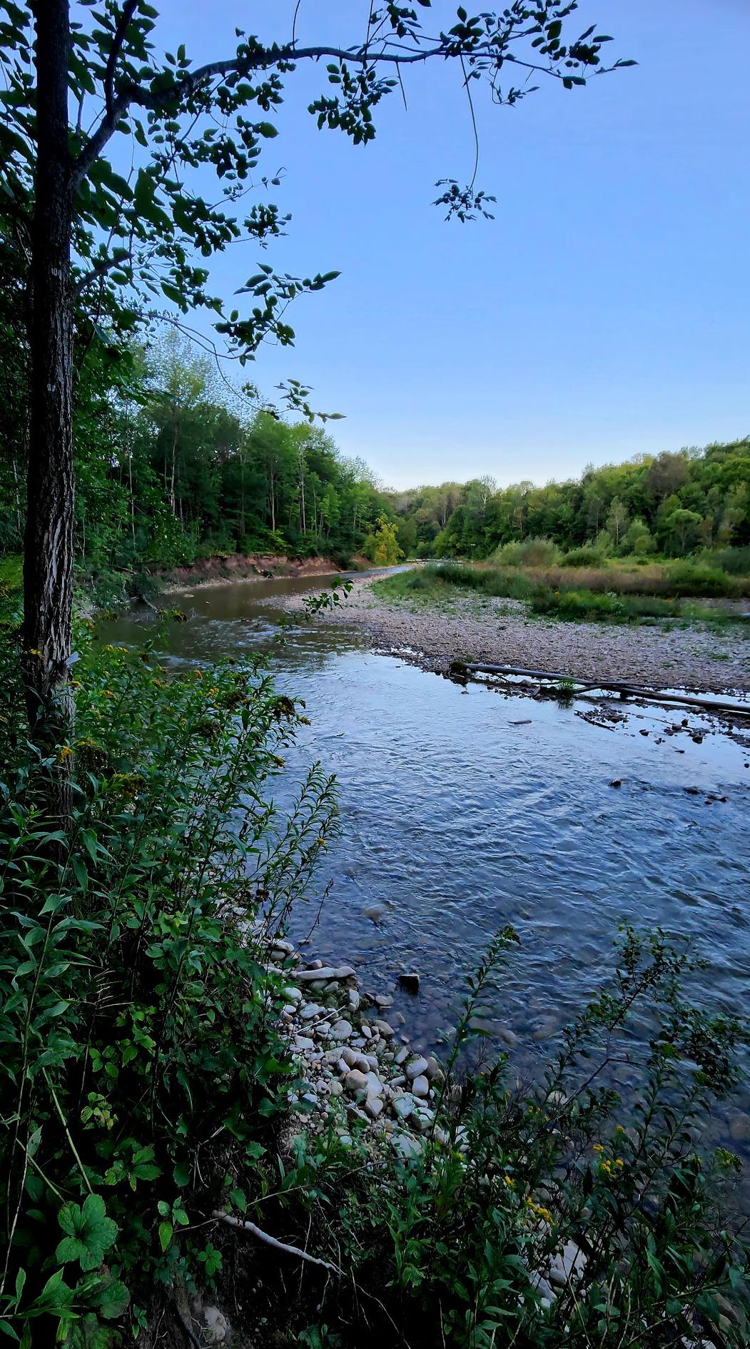 Alabalık Hollow Yolu