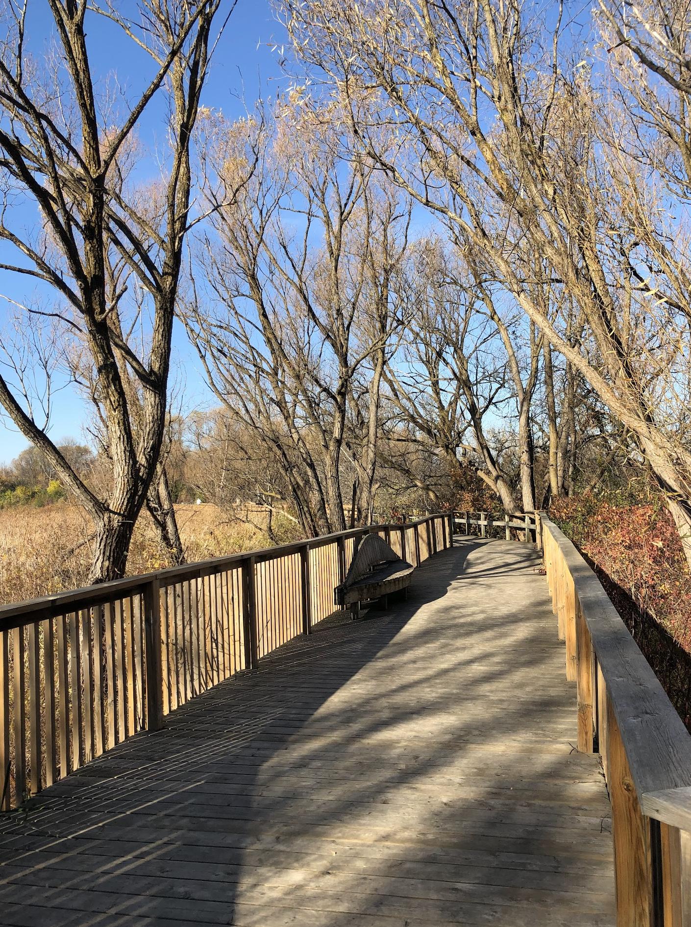 Georgian Trail Observation Deck