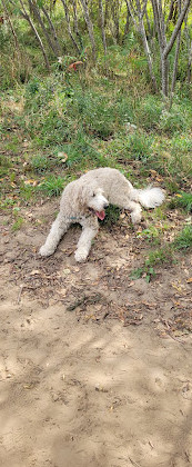 Parco per cani di Port Mcnicoll