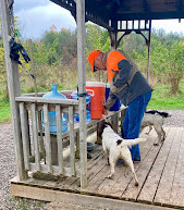 Port Mcnicoll Dog Park