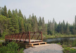 Algonquin Island Park