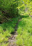 Algonquin Island Park