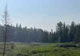 Algonquin Island Park