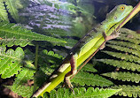 Arenal Sanctuary Reserve