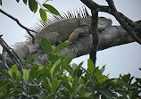 Arenal Sanctuary Reserve