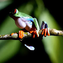 Arenal Sanctuary Reserve