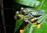 Arenal Sanctuary Reserve