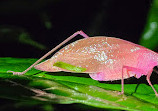 Arenal Sanctuary Reserve