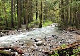 Thunder Knob Trailhead