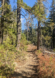 Thunder Knob Trailhead