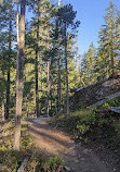 Thunder Knob Trailhead