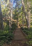 Thunder Knob Trailhead