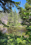 Thunder Knob Trailhead