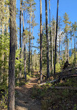 Thunder Knob Trailhead