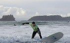 Swell Tofino