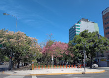 Lima centrale