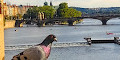 Charles Bridge