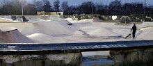 Skatepark Douaneplein