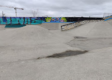 Skatepark Douaneplein