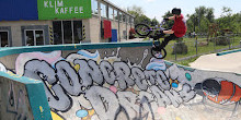 Skatepark Douaneplein