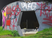 Skatepark Douaneplein