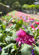 Luxembourg Gardens