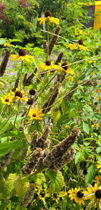 La materia de la Tierra Nueva York