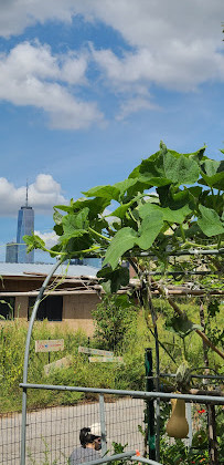 La materia de la Tierra Nueva York