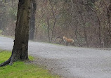 Babylon Park Ave Tennis Courts and Trails