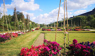 Jardín de las Plantas de París