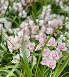 Jardin des Plantes