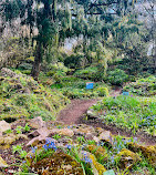 Jardin des Plantes