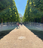 Tuileries Garden