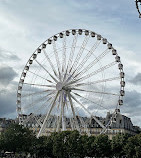 Tuileries Garden