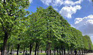 Tuileries Garden