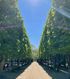 Tuileries Garden