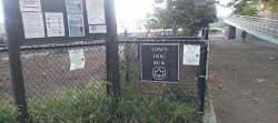 Dog Park