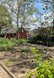 Highland Park Community Garden