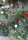 Highland Park Community Garden