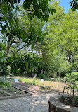 Highland Park Community Garden