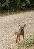 La Marina Wildlife Rescue Center