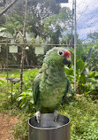 La Marina Wildlife Rescue Center