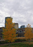 Reconciliation Bridge