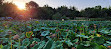 Jerusalem Botanical Gardens