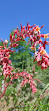 Jerusalem Botanical Gardens